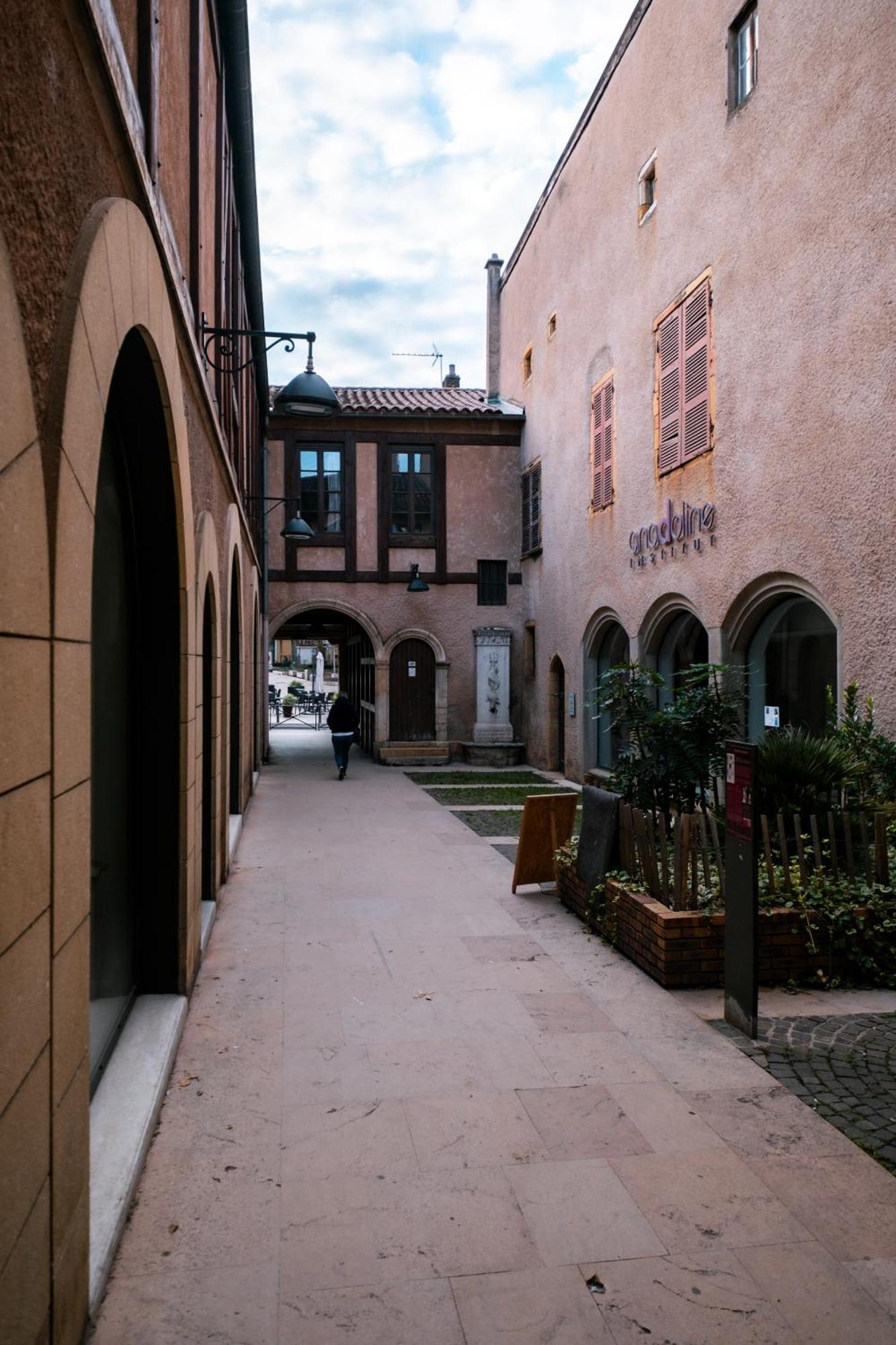 Mercure Villefranche-sur-Saône Kültér fotó